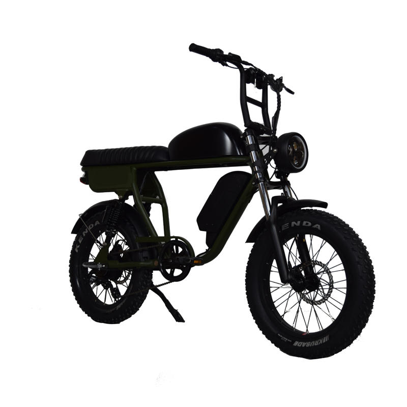 120 KGS Max Load LCD Display Electric Bike with Front and Rear Double Shock Absorbers