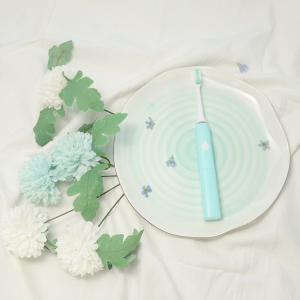 Quality Smart Two Minute Timer Oral Care Toothbrushes 6 Modes Rechargeable wholesale