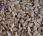 304 Stainless Steel Peanut Butter Grinding Machine Groundnut Grinder Ethiopia