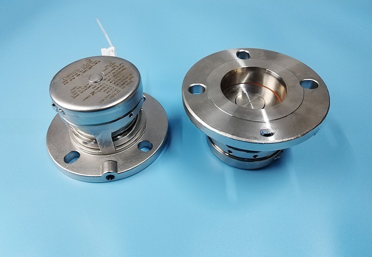 Stainless Steel Pressure Safety Relief Valve for ISO Tank Container Parts BSP or Flanged