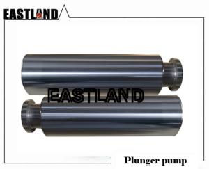 Quality Gardner Denver GD2500 Triplex Plunger Pump Plunger Valve and Seat and Packing wholesale