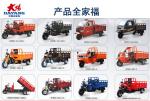 LIFAN/ZONGSHEN/LONCIN/DAYANG 652 Cm3 Motorcycle Engine Water Cooled 4 Stroke EFI