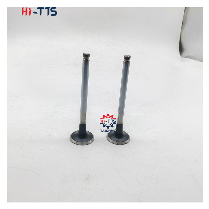 DB58 Valve Intake And Exhaust 65.04101-0025A 65.04104-0047 For Diesel Engines Parts
