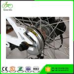 36V Voltage Brushless Motor Chainless Electric Bike 2019 with Shaft Drive and