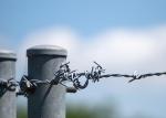 Use Of Prison Walls Length 200m Single Strand Hot Dipped Galvanized Barbed Wire