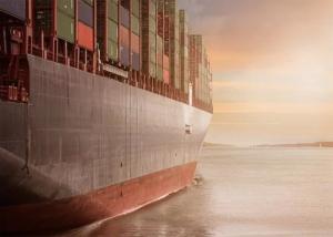 China International Logistics FCL Sea Freight , FCL Container Shipping on sale