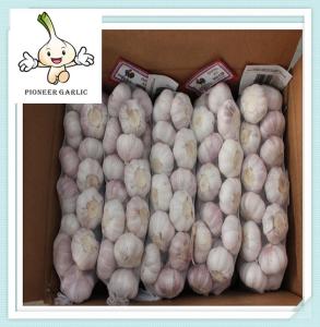 Quality China Wholesale Garlic Supplier China New Crop Garlic pure white garlic wholesale