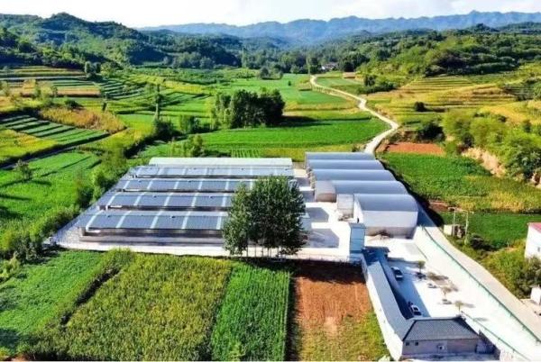 Livestock Shelter Dairy Farm Barn Custom Steel Structure Cow Shed For Live