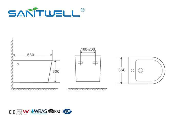 Self Cleaning Comfortable Wall Hung Bidet Concealed Tank Ceramic Material