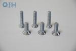 DIN608 Short Square Neck CL8.8 Carbon Steel Bolt