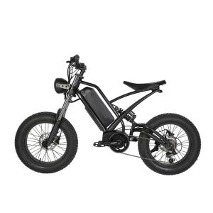 Quality Disc Brake 2023 Style 20&quot; Fat Tire Electric Enduro E-Bike for Off Road MTB Bicycle wholesale