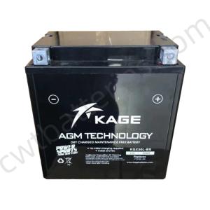 Quality 12V 30Ah Dry Charged 110CC Four Wheeler Battery KAGE KGX30L-BS for UTV wholesale