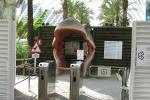 Large Animatronic Dinosaur Head Wall Mounted With Excellent Abrasion Resistance