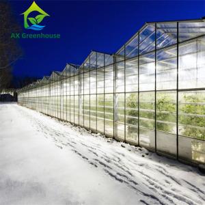 Quality Venlo Winter Glass Tomato Greenhouse wholesale