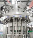 5000 BPH PET Bottle Carbonated Beverage Filling Bottling Machine SUS304
