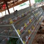 Hot Galvanized Baby Chicken Battery Cage For Sale In Nigeria Office Iris