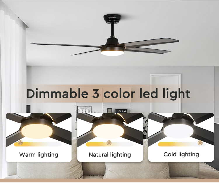 ceiling fan