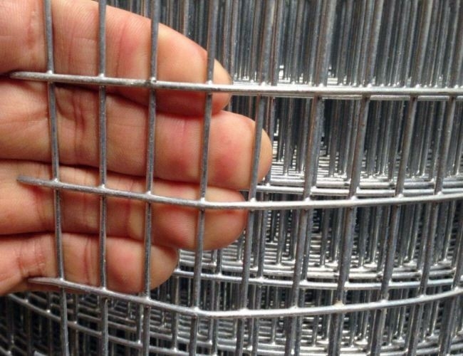 High Durability Galvanized Welded Mesh Rolls For Poultry Raising