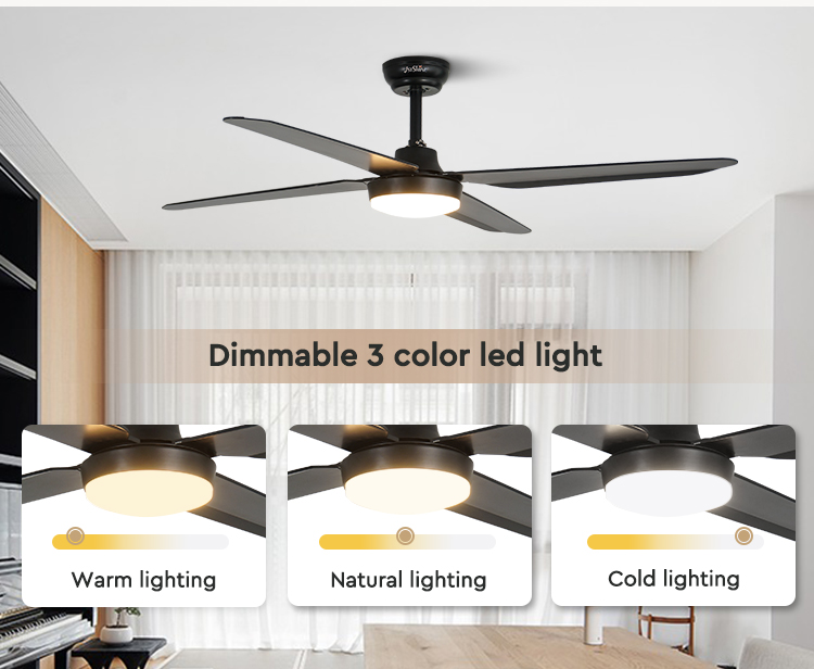 ceiling fan