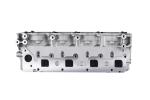 Brand new CQ WS ENGINE PARTS YD25 Cylinder head for AMC908510 11039-EC00A 11040