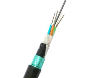 Quality G652D 48F Outdoor Direct Burial Armored Fiber Optic Cable Single Mode Anti Rodent wholesale