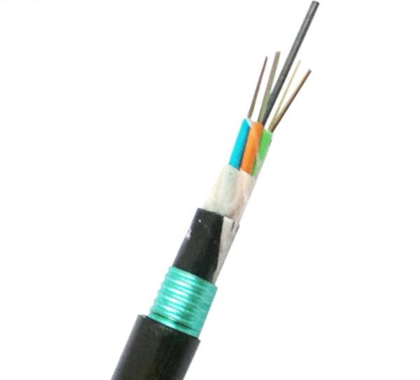 G652D 48F Outdoor Direct Burial Armored Fiber Optic Cable Single Mode Anti