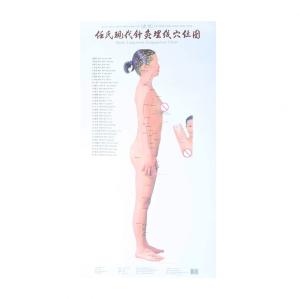 Quality Human Body Meridian Acupuncture Culture Acupoint Acupressure Points Chart wholesale