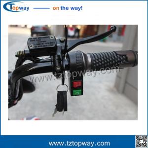 Quality Charging Time 4-6 Hours E-bike or scrooter(citycoco) Range Per Charge 40-60km wholesale