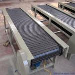 Belt Conveyor Food Seafood Flat /Curve Belt Conveyor for Transmission Packaging