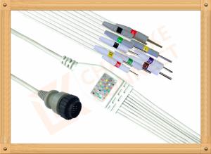 Quality Kenz PC 104 Ecg Monitor Cable One Piece Ecg Cable 10 Leadwires Needle IEC wholesale