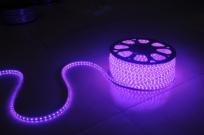 High Class SMD 5050 Single/RGB 220V/120V LED Strip Light High Bright Adversiting Decoration Lighting grow