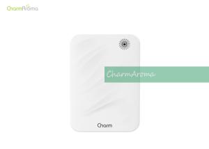 Quality Portable Home Fragrance Delivery Systems Energy Saving Wall Mounting wholesale