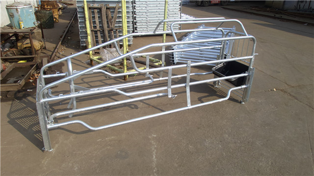 Hign Strength Galvanized Pig Farrowing Crate Anti Corrosive Long Using Life Time
