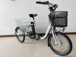36V 250W Motor 3 Wheel Cargo Bike Tricycle Electric For Adult Derailleur 3 Speed