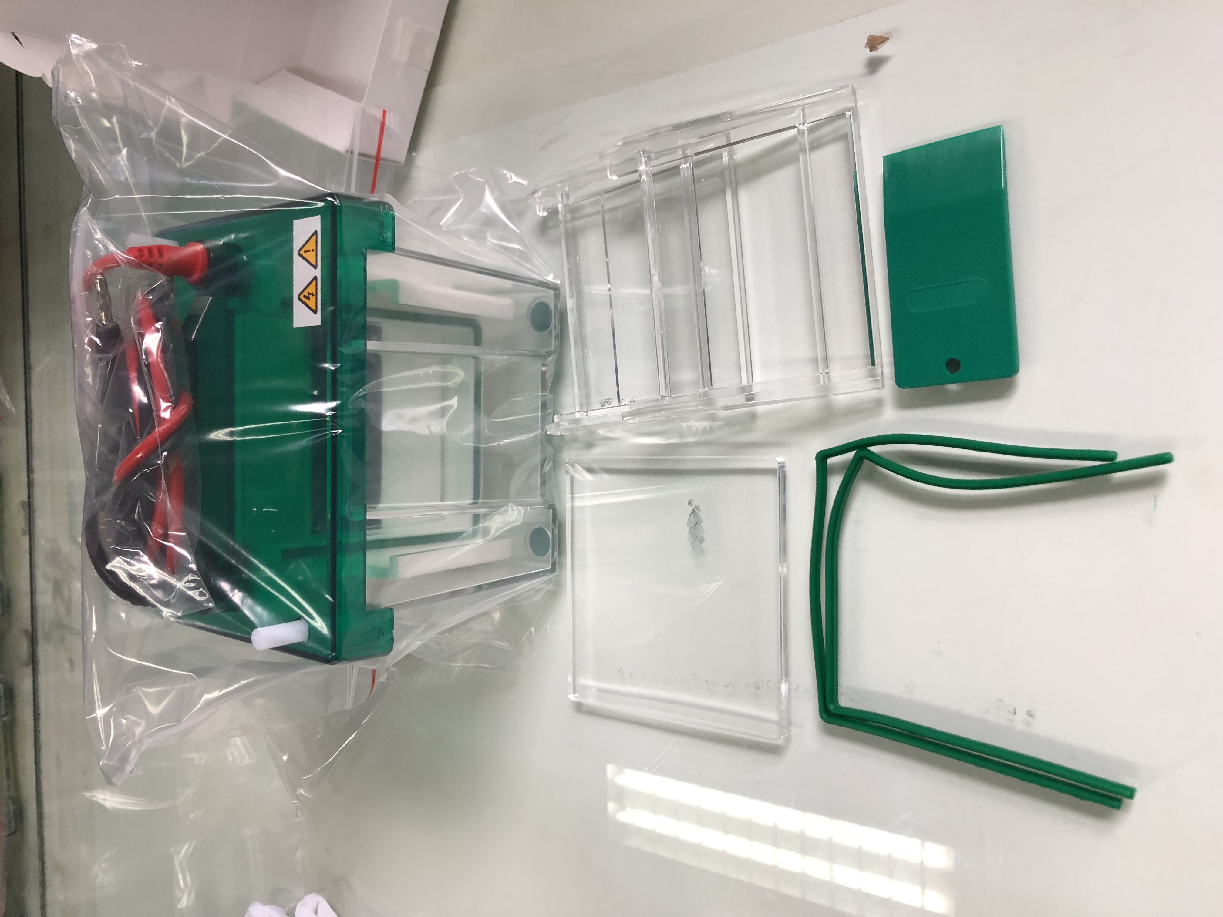 Vertical Gel Electrophoresis Equipment Mini Protean Vertical Electrophoresis Cell