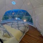 Heat Insulated Geodesic Dome Glass Door 6m Glamping Tourism Tent