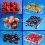 CE Standard PP food grade Trays Automatic Vacuum Thermoforming Machine for sale