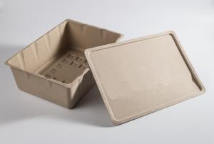 Quality 1.5mm Fiber Molded Packaging Sustainable Green Biodegradable Pulp Packaging wholesale