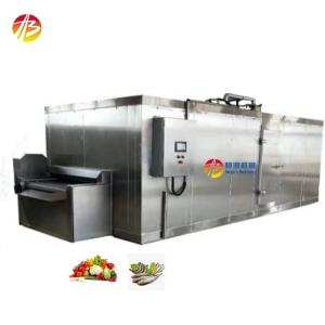 Quality 500kg Capacity Tunnel Freezing Machine for Quick Freezing Fish Shrimp Fruit and Vegetables wholesale