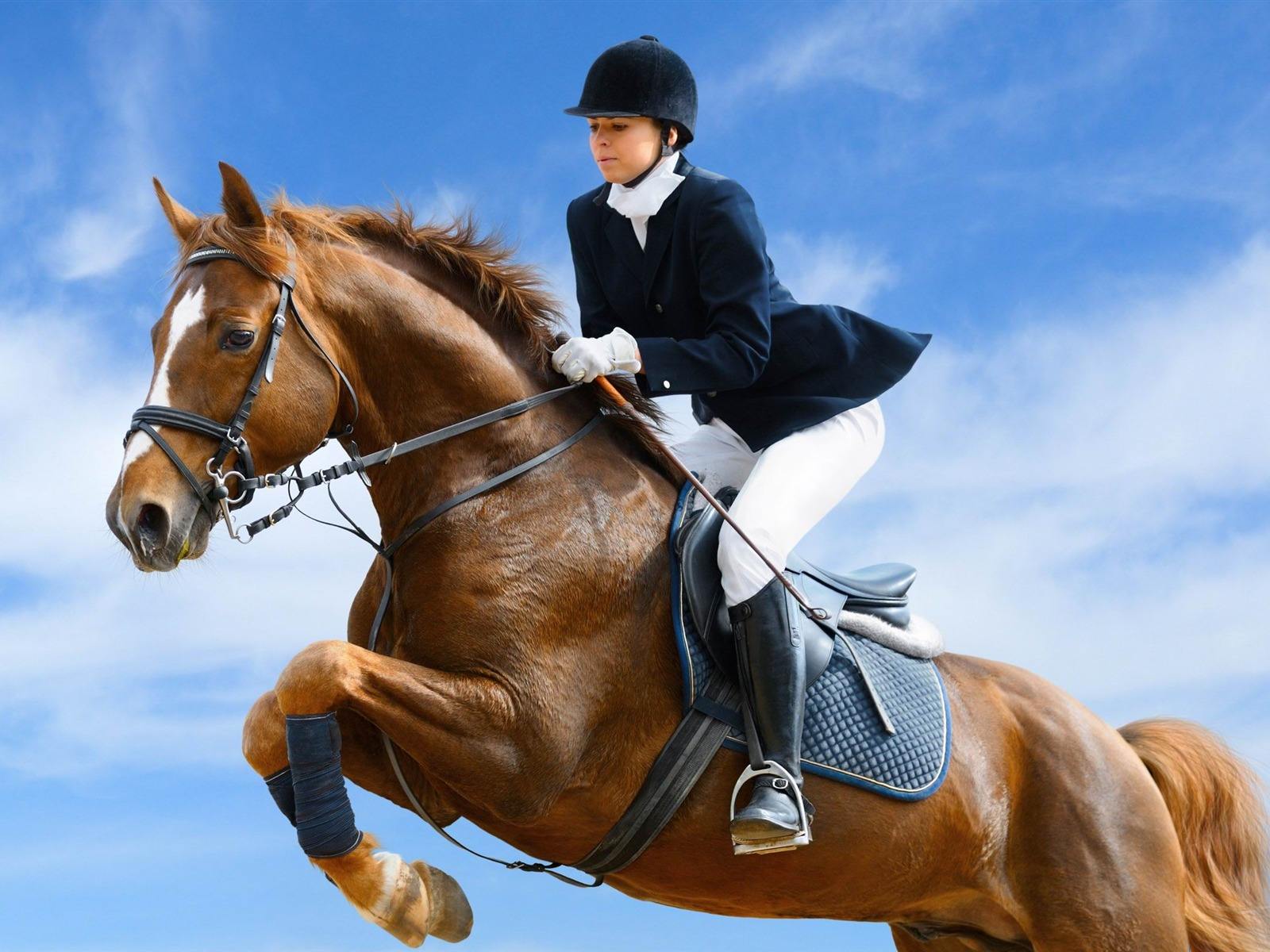 Certified Black 2XL Equestrian Vest in Foam Padded Texture for Outdoor Horse-Riding
