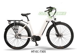 Quality 15Ah Ergonomical Saddle Electric Cargo Bikes with LED Spot Front Li Light wholesale