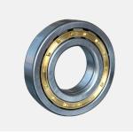 High Speed Cylindrical Roller Bearings N205 N220 N200 Series Gcr15 N206 Bearing