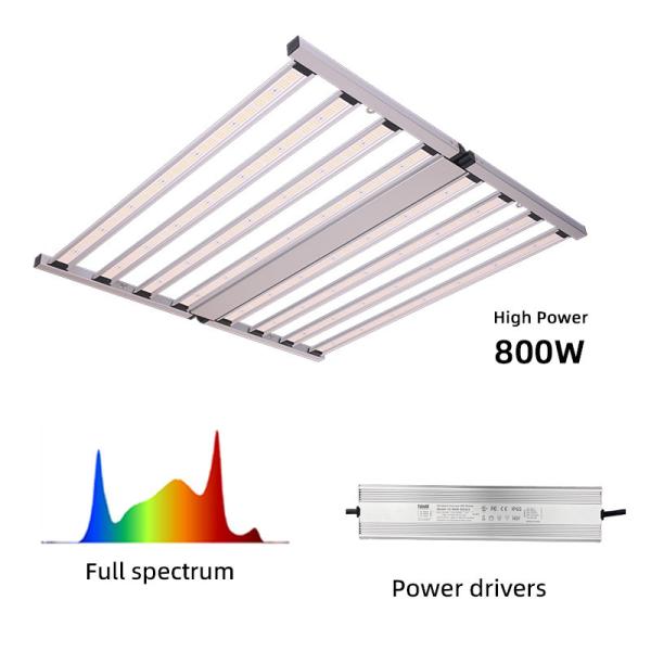 Full Spectrum Fluorescent Lights For Growing Plants 800W LED Plant Growth Light