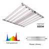 Buy cheap Full Spectrum Fluorescent Lights For Growing Plants 800W LED Plant Growth Light from wholesalers