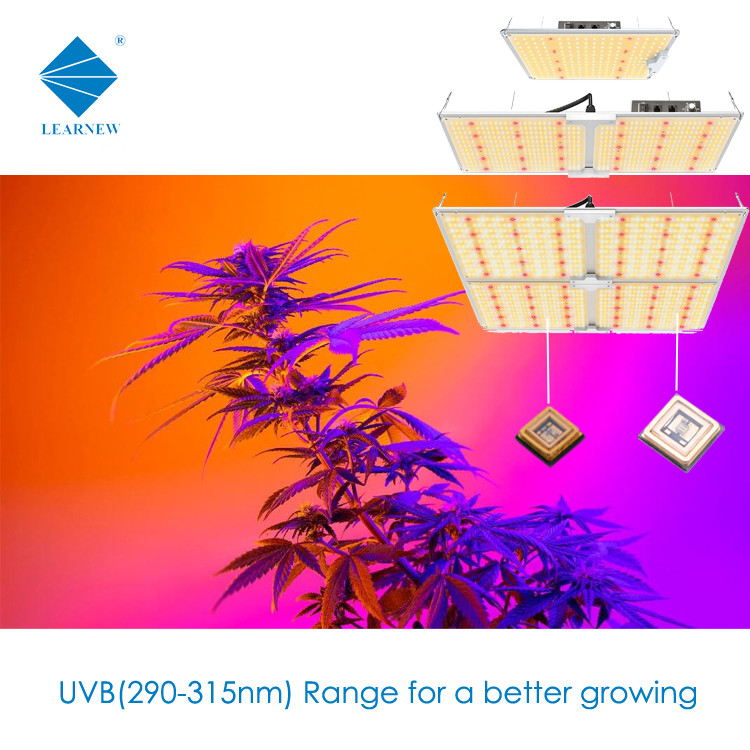 Efficiency 308NM 310NM UVB LED Chips 315NM For Therapy Light