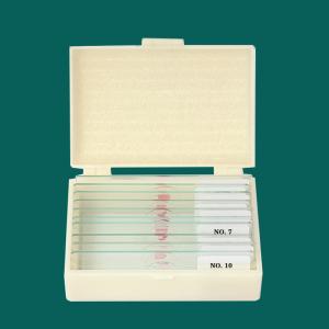Quality Medical Research Used Microbiology Amoeba Prepared Glass Microscope Slides For Teaching wholesale