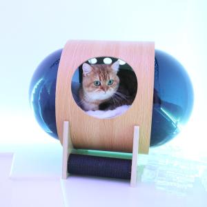 Quality Warm Cozy Dog Cat Space Capsule Bed 60*40cm With Clear Acrylic Dome wholesale