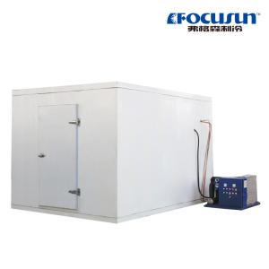 Quality Cold Room Freezer for Vegetables Fruit Meat And Seafood wholesale