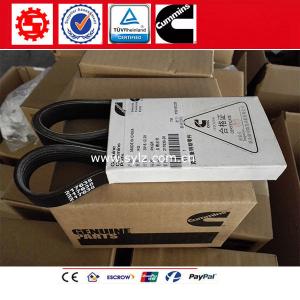 Quality Genuine Cummins NT855 Water pump Belt 217638 for shantui bulldozer SD22 SD22S wholesale