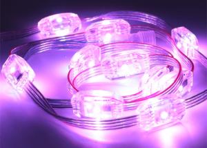 Quality 22mm Waterproof IP67 UCS1903 SMD5050 Curtain Led String wholesale